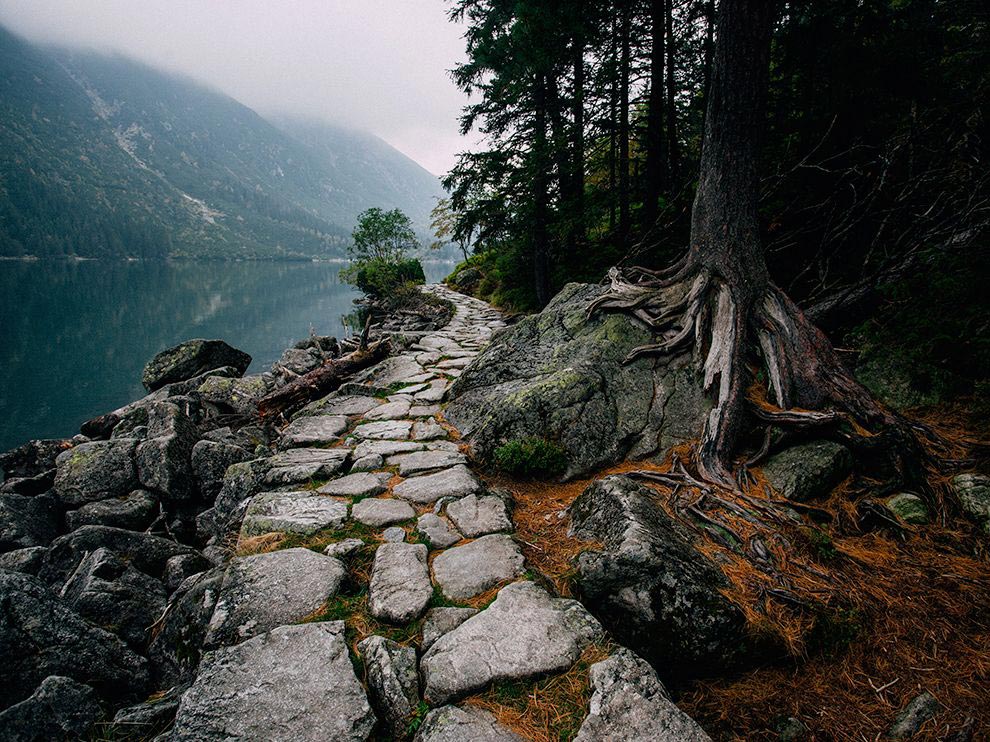 Компания STONE WAY СПБ